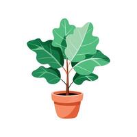 Beautiful Fiddle Leaf Fig Design vector