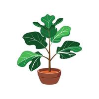 Stylish Fiddle Leaf Fig Illustration vector