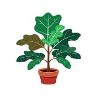 Elegant Fiddle Leaf Fig Artwork vector