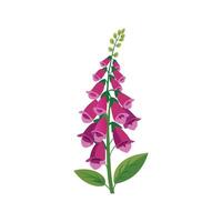 Lush Foxglove Flower Artwork vector