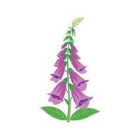 Charming Foxglove Flower Design vector