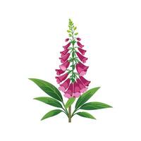 Lush Digitalis Foxglove Design vector