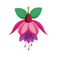Lush Fuchsia Flower Design vector