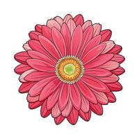 Charming Gerbera Daisy Flower Artwork vector
