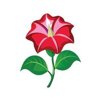 Charming Gloxinia Floral Design vector