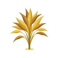 Charming Gold Dust Dracaena Design vector