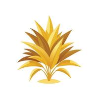 Beautiful Gold Dust Dracaena Design vector