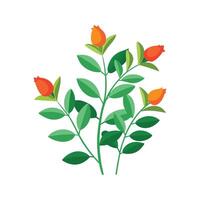Charming Goldfish Plant Columnea Design vector
