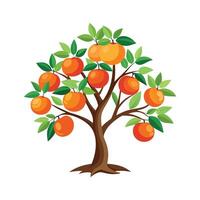 Unique Grapefruit Tree Illustration vector
