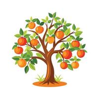 Elegant Grapefruit Tree Artwork vector