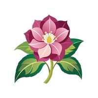 Elegant Hellebore Flower Design with Striking Appearance vector