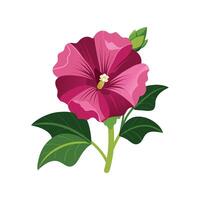 Elegant Hollyhock Flower Illustration vector