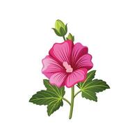 Charming Hollyhock Plant Artwork vector
