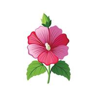 Beautiful Hollyhock Plant Design vector