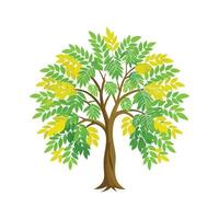 Stunning Honey Locust Tree Design vector