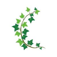 Charming Ivy Plant Artwork vector