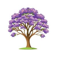 Stunning Jacaranda Tree Design vector