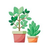 Beautiful Jade Planamint Design vector