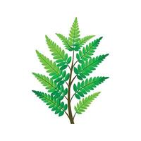 Stunning Japanese Fern Artwork vector