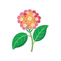 Stunning Lantana Plant Artwork vector