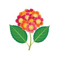 Charming Lantana Artwork. vector