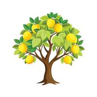 Lemon Tree Botanical Illustration Art vector