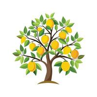 Citrus Limon Lemon Tree Design vector