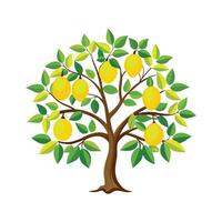 Charming Citrus Limon Tree Design vector