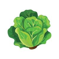 Creative Lettuce Plant Art Design vector