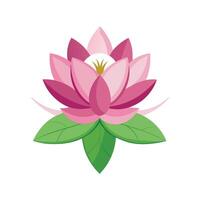 Elegant Lotus Flower Nymphaea for Ponds vector