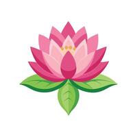 Stylish Nymphaea Lotus Flower vector