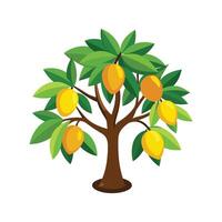 Elegant Mango Tree Design vector