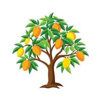 Nutritious Mango Tree for Tropical Gardens vector