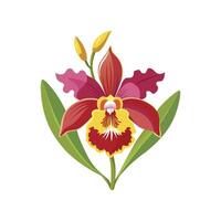 Stylish Oncidium Orchid Artwork vector