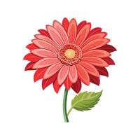 Elegant Opening Gerbera Flower for Decor vector