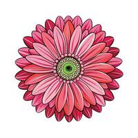 Creative Opening Gerbera Flower Art vector