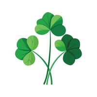 Tetraphylla Oxalis Unique Design vector