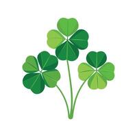 Stylish Tetraphylla Oxalis Artwork vector