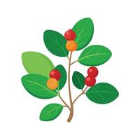 Stylish Partridgeberry Artwork vector