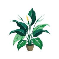 Stylish Peace Lily Design vector