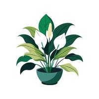 Unique Peace Lily Plant Artwork vector