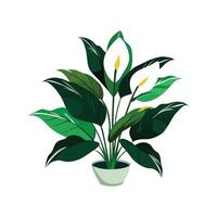 Vibrant Peace Lily Design vector