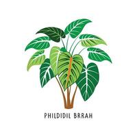 Philodendron Brazil Unique Artwork vector