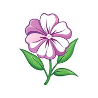 Artistic Phlox Flower Graphic Illustration vector