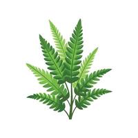 Stylish Platycerium Leaf Design vector