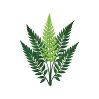 Charming Platycerium Leaf Artwork vector