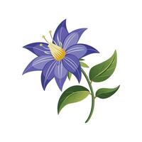Charming Platycodon Flower Artwork vector