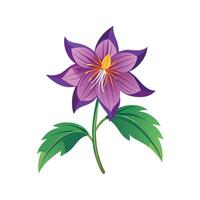 Vibrant Platycodon Flower Plant Design vector