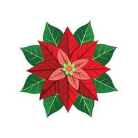 Vibrant Poinsettia Flower Artwork vector