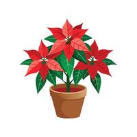 Stylish Poinsettia Plant Graphic vector